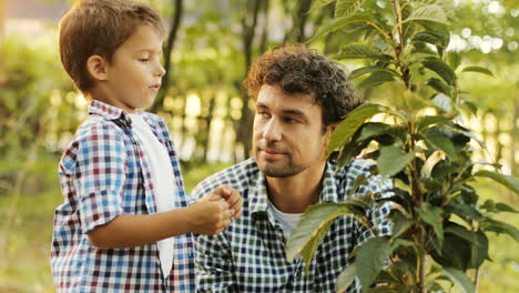 Closeup.-Portrait-of-a-little-boy-and-his-dad-planting-a-tree.-The-boy-tells-something-to-his-dad,-the-dad-replies.-The-boy-touches-the-leaves.-Blurred-background
